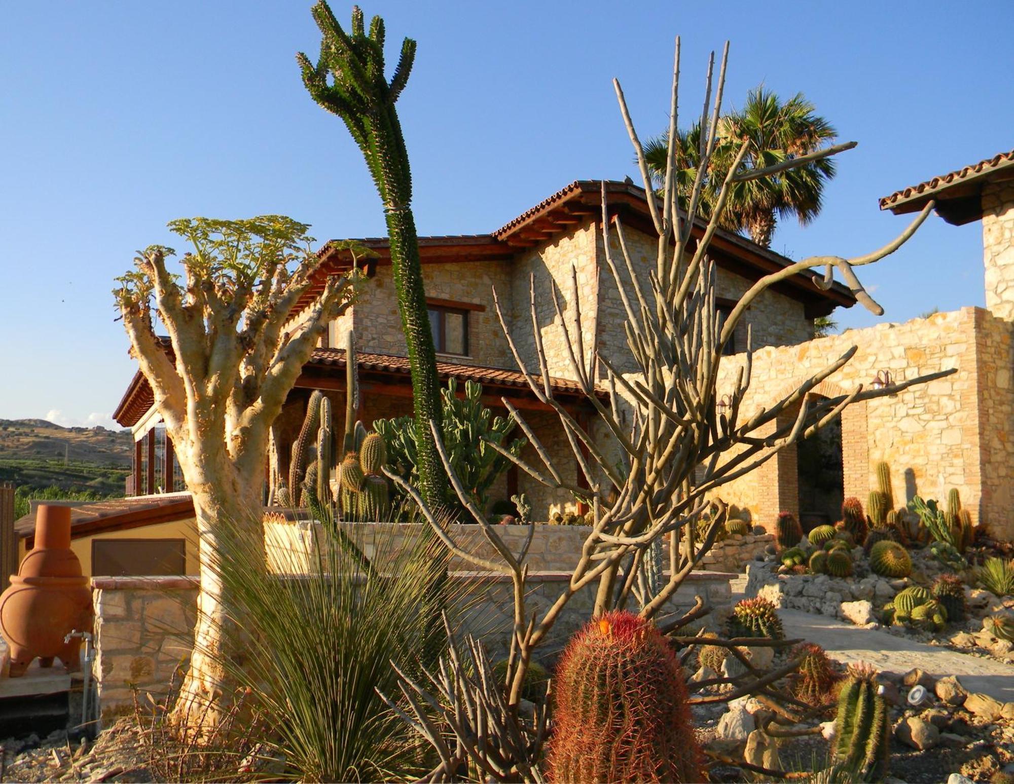 Relais Garden Cactus B&B Фавара Экстерьер фото